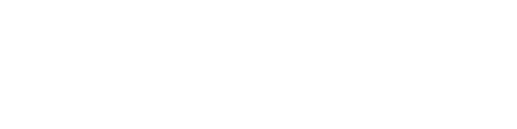 Flotte Berlin Logo