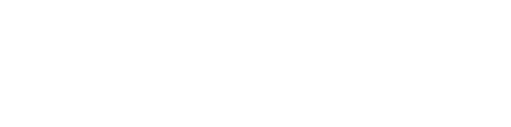 Flotte Hamburg